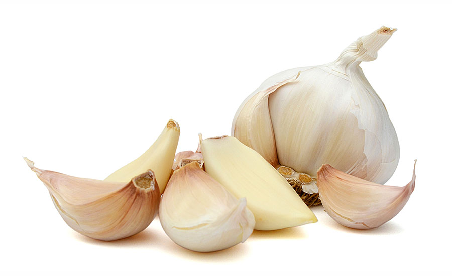 garlic