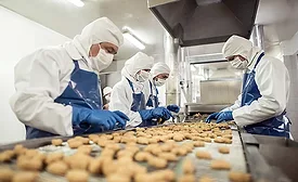 food safety apparel