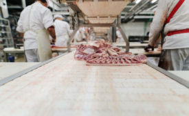 meat processing with conveyor belts