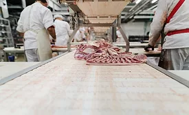 meat processing with conveyor belts