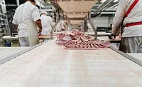 meat processing with conveyor belts meat processing with conveyor belts