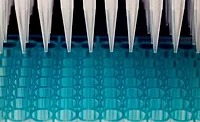 rapid testing for pathogens rapid testing for pathogens