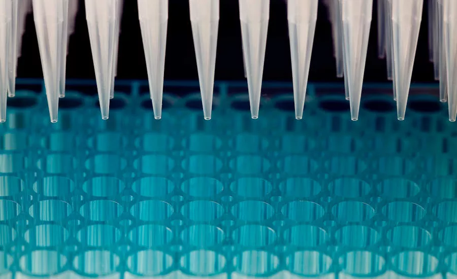 rapid testing for pathogens