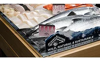 fresh fish fresh fish