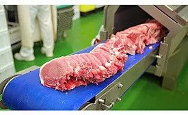 trimmed meat on a conveyor