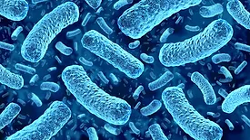 Digital illustration of bacteria