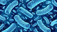 Digital illustration of bacteria Digital illustration of bacteria