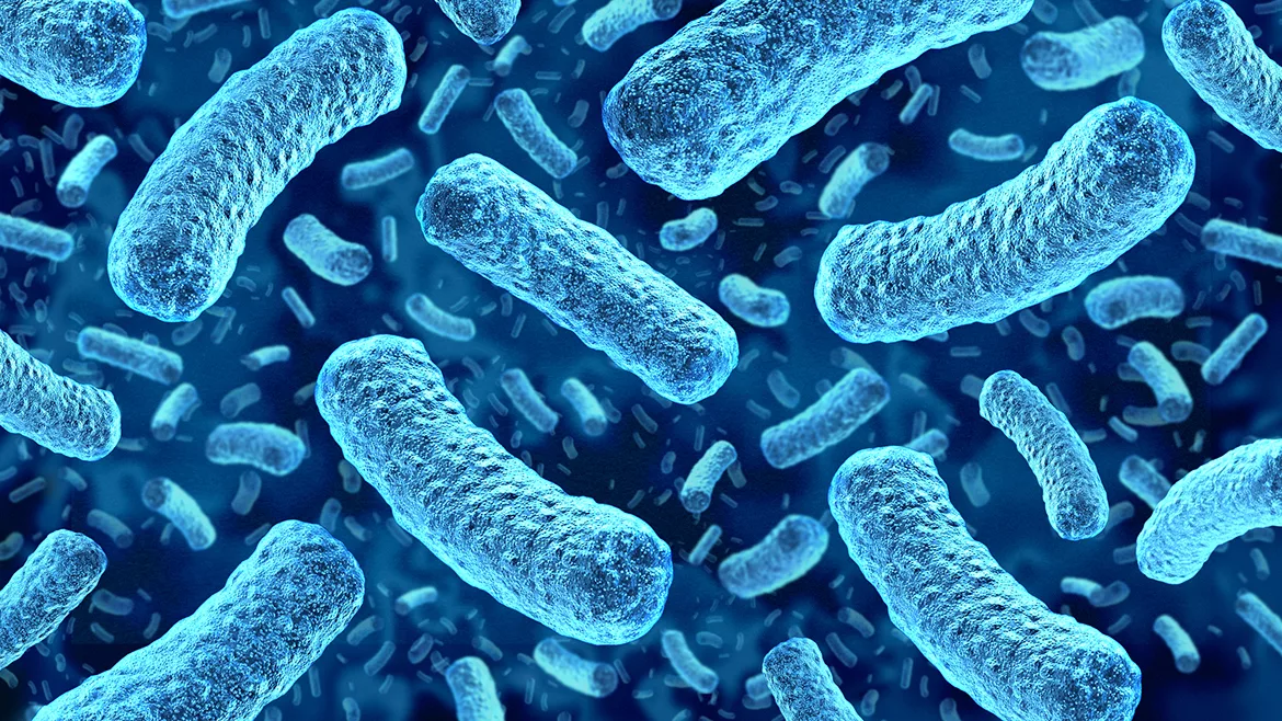 Digital illustration of bacteria