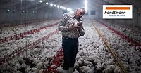 Poultry farmer holds a chicken while standing inside a large chicken house.