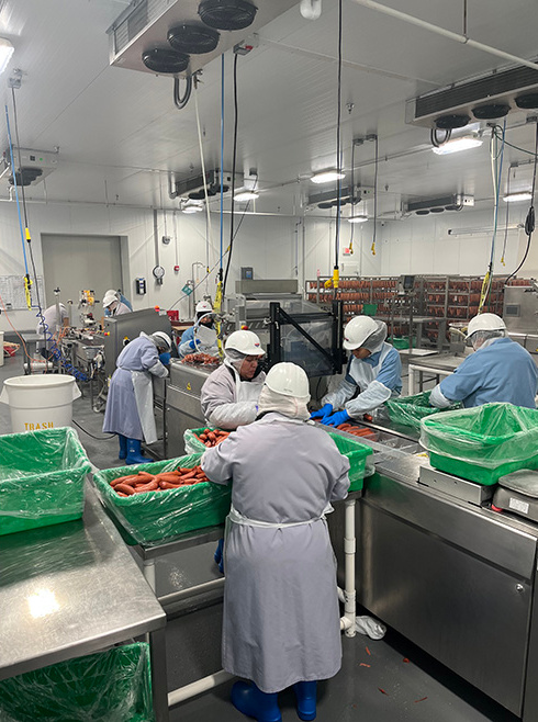 Workers in protective gear sort sausages in a clean food processing facility with machinery.