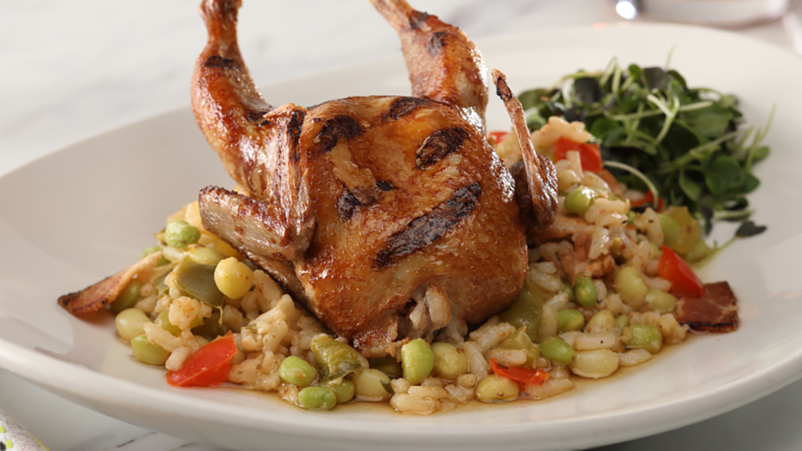 Grilled quail on a white plate served on top of rice and vegetables.