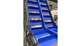 a sanitary incline belt conveyor