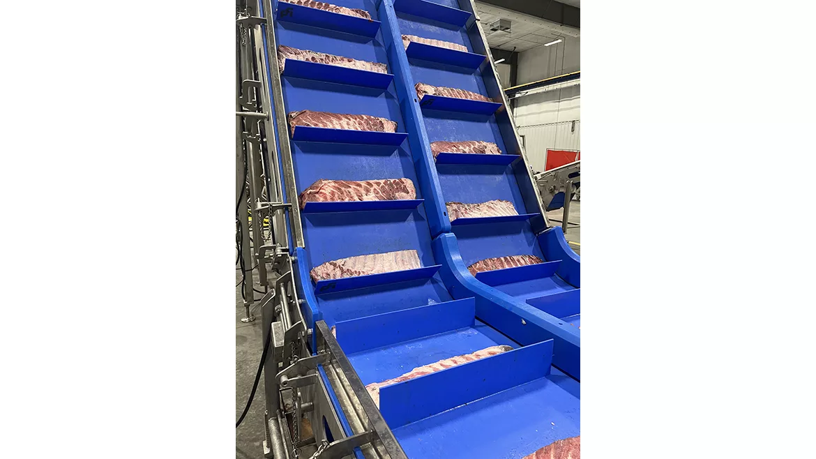 a sanitary incline belt conveyor
