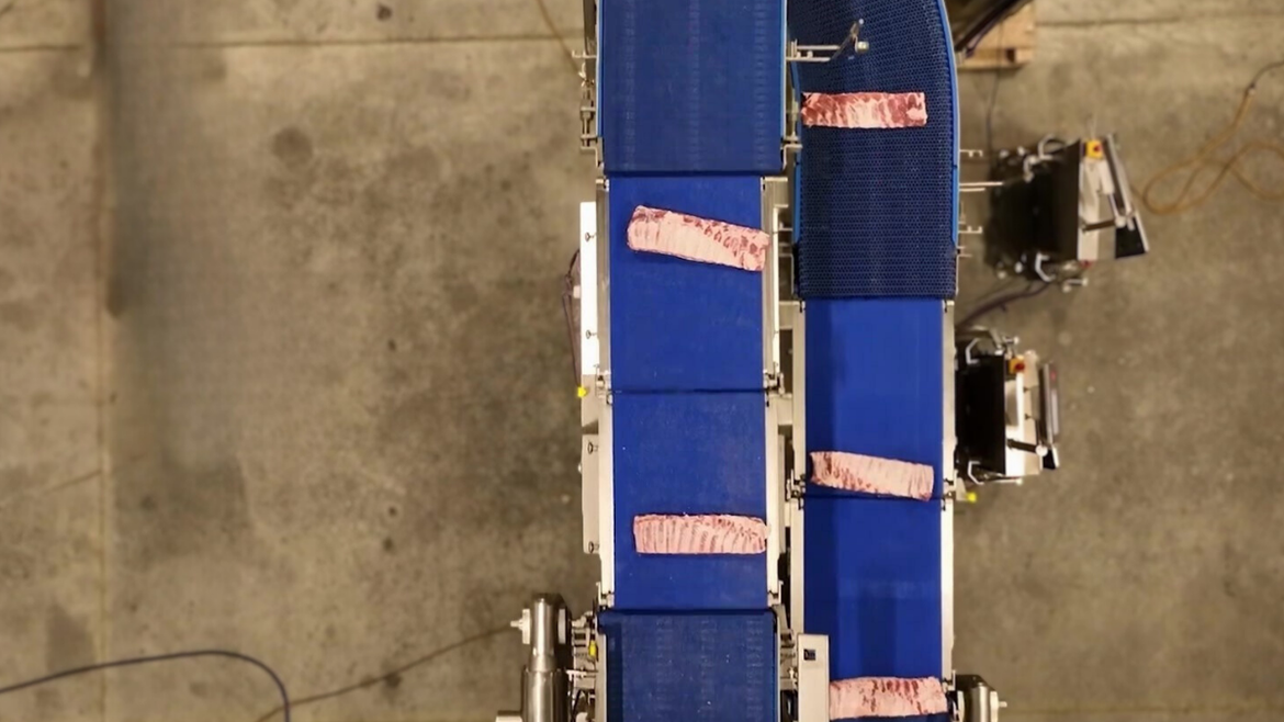 A PFI sanitary belt conveyor system