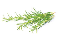 rosemary, spices, ingredients that add flavor