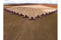 crops, farm fields, yield efficiency 