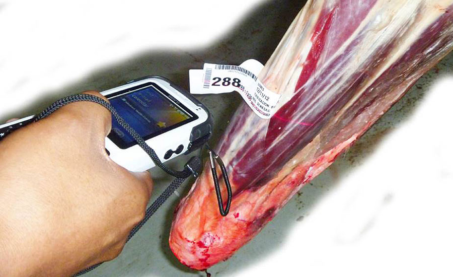 Inventory employees can view animal identification information, the type of cut, the weight, and the date and time of each scan, directly on the Nautiz X3