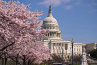 Washington DC, meat industry lobbying