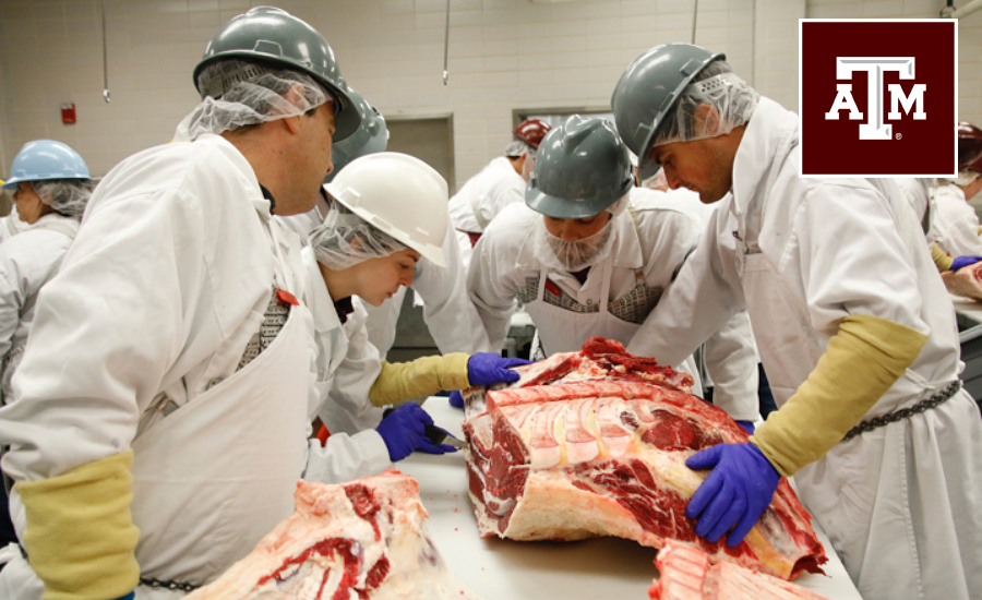 Texas A&M Meat Science Program