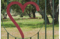 HeartBrand beef gate