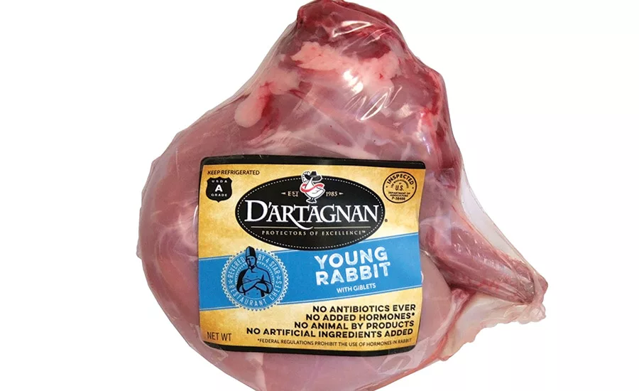 D'Artagnan young rabbit