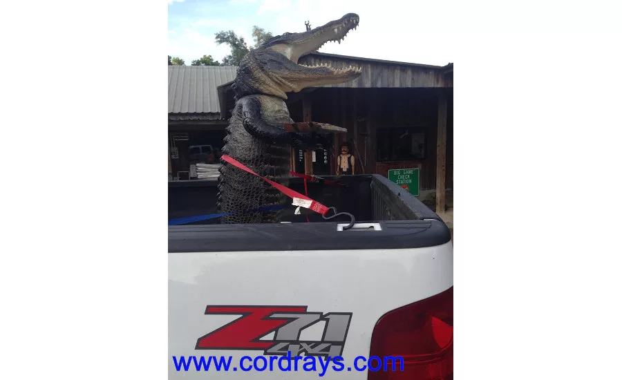 An alligator statue standing up in a truck