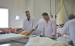 Hams are dry-rubbed with cure mixture