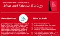 Infographic on Submitting a Paper to Meat and Muscle Biology