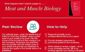Infographic on Submitting a Paper to Meat and Muscle Biology