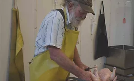 Kerry Olson Processes Chickens at Wagonhoffer Meats