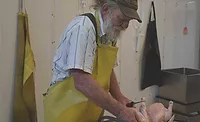 Kerry Olson Kerry Olson Processes Chickens at Wagonhoffer Meats