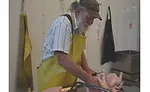 Kerry Olson Processes Chickens at Wagonhoffer Meats