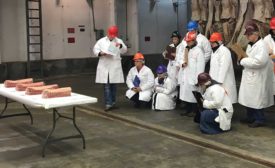 Meat Judging For Youth Through Collegiate Age Students