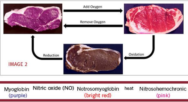 Color of Meat as it is Exposed to Different Levels of Oxygen