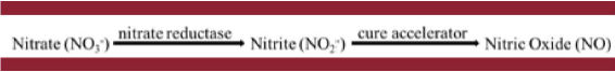 Nitrate/ Nitrite Equation