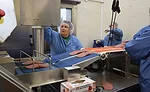 Sliced Bologna on Conveyor Before Being Pre-Packaged