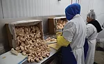 Slices of Foie Gras