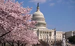 Capitol Hill