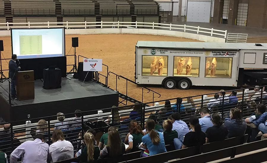 Discussion of Beef Genetics at RMC