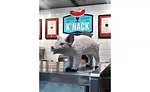 K'Nack Pig