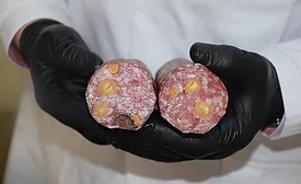 Salami with Hazlenuts and Figs as Inclusions