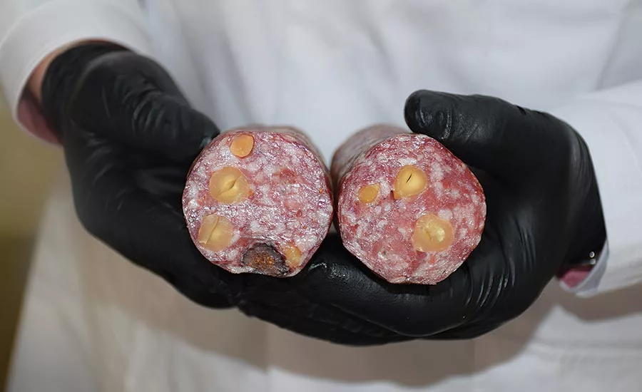 Salami with Hazlenuts and Figs as Inclusions