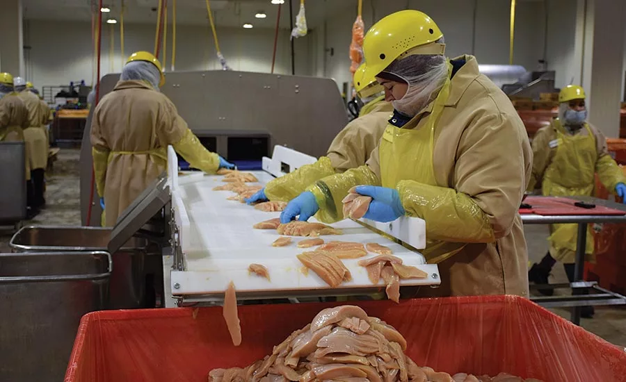 ProPortion Employees Prepared Chicken Strips