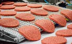 Meat Patties on Conveyor Belt