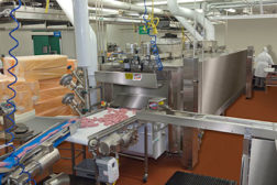 meat processing line