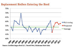 replacement heifers entering herd graph