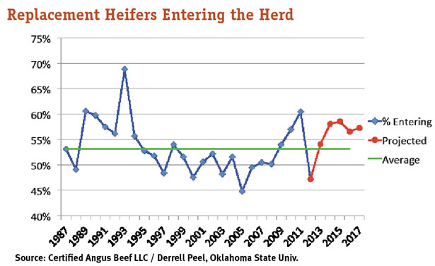 replacement heifers entering herd graph