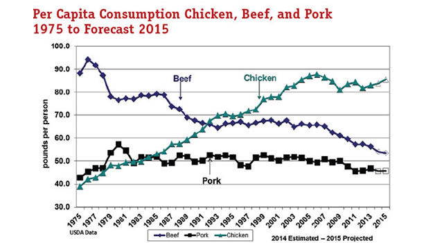 chicken consumption