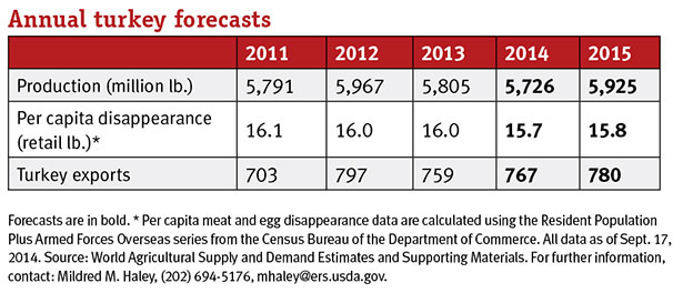 annual turkey forecasts