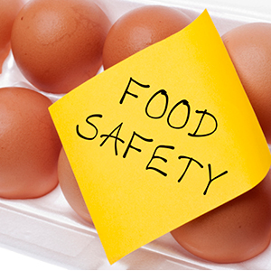 Eggs food safety